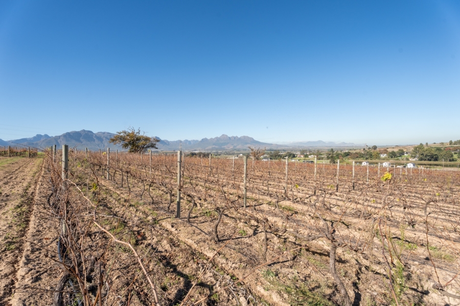 To Let 2 Bedroom Property for Rent in Stellenbosch Farms Western Cape